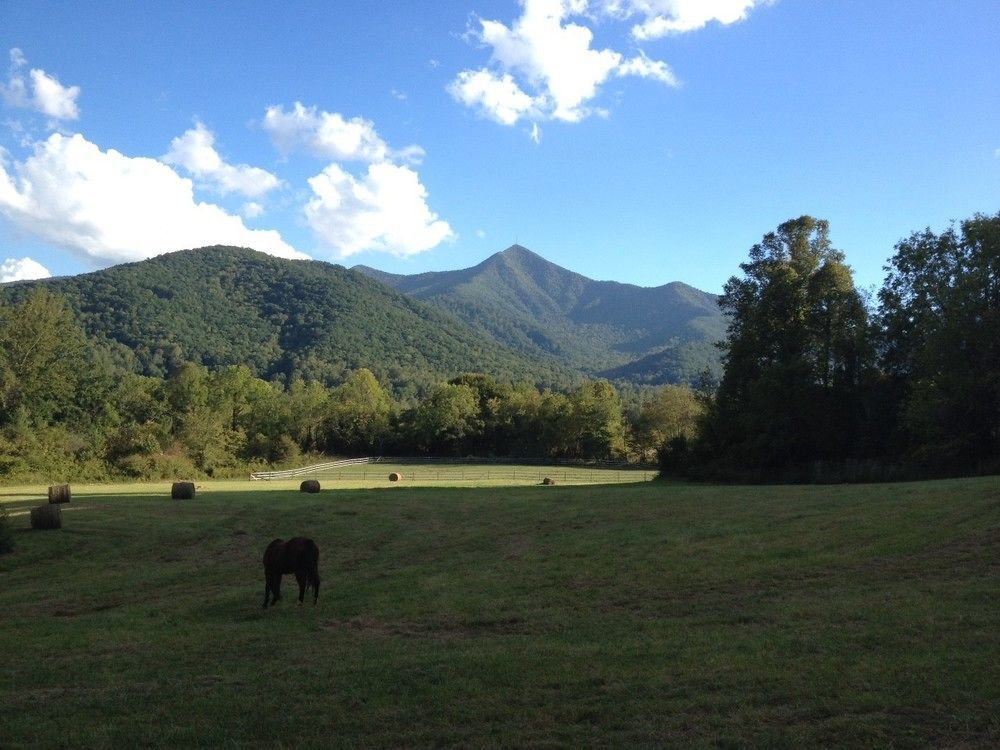 Pisgah View Ranch Hotel Candler ภายนอก รูปภาพ