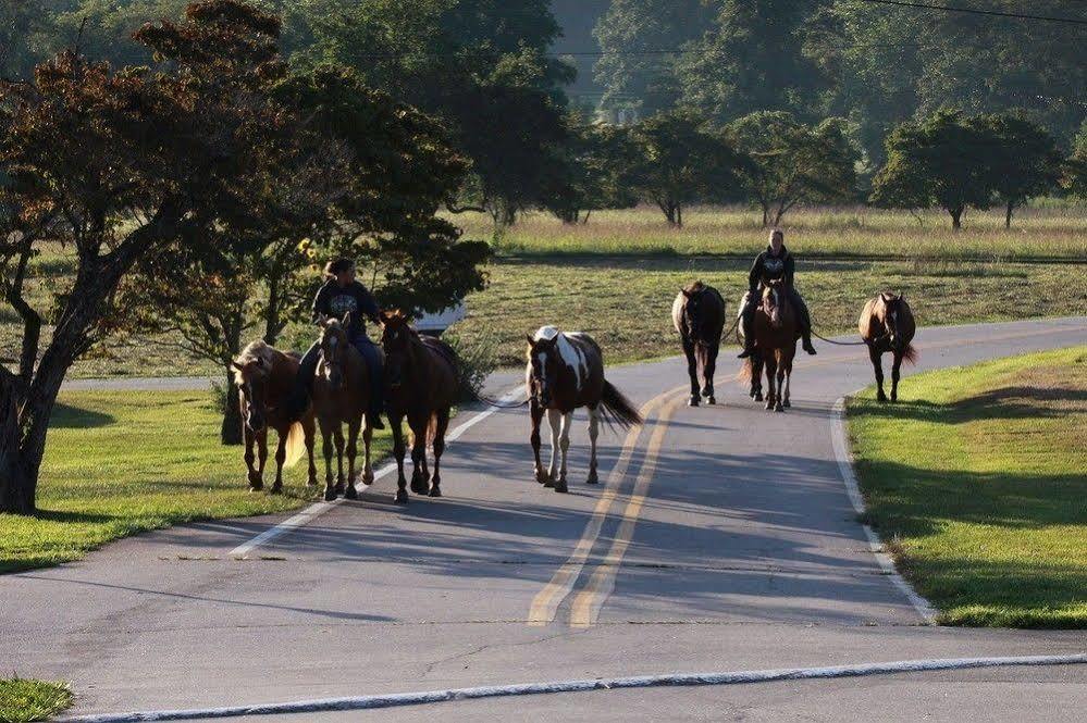 Pisgah View Ranch Hotel Candler ภายนอก รูปภาพ